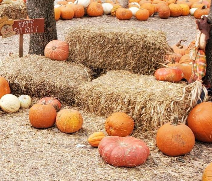Pumpkin patch with hay and pumpkins