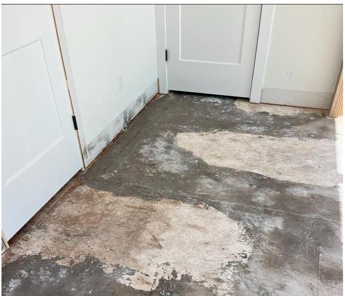 Mold From Water Damage